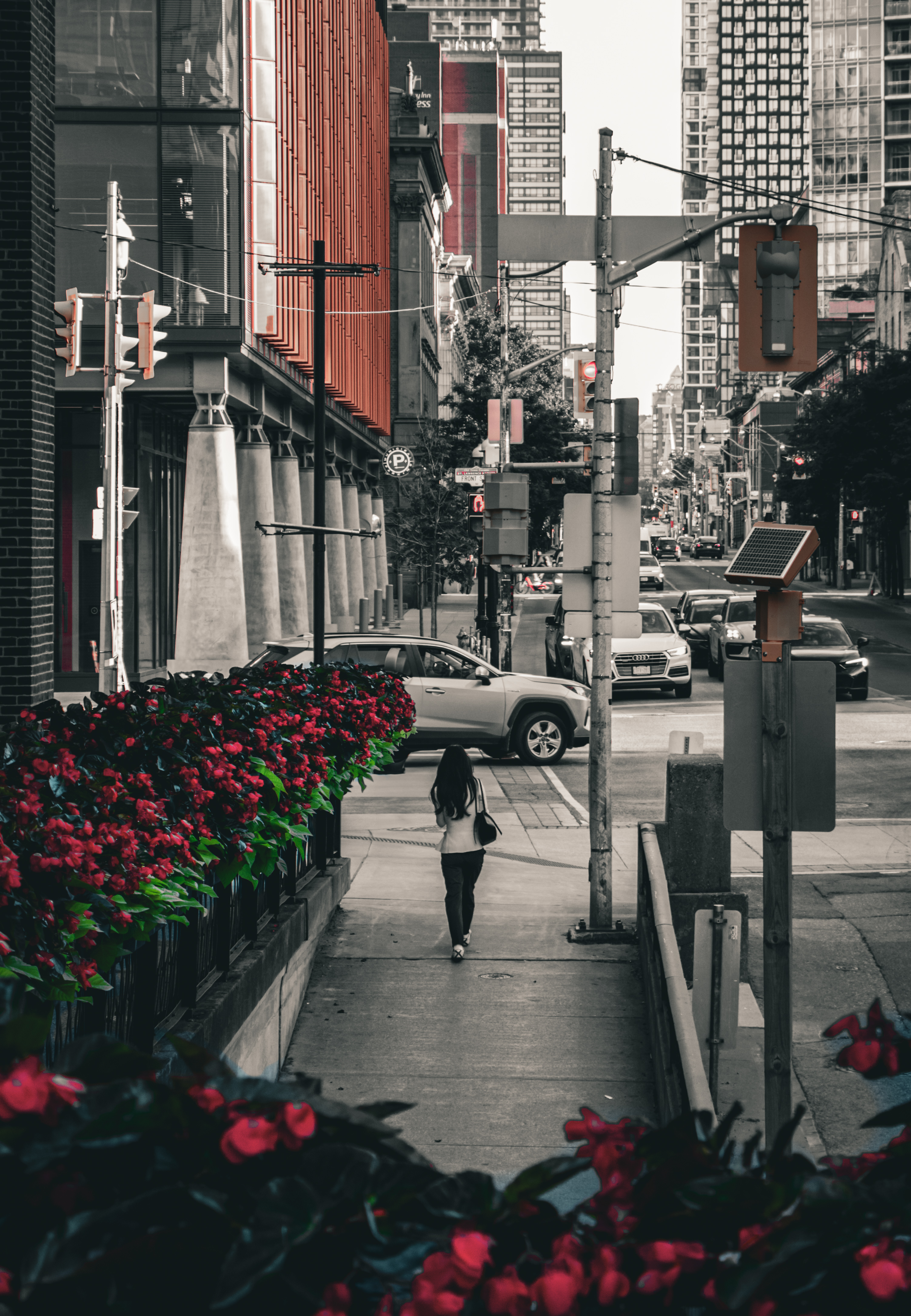 Street photograph